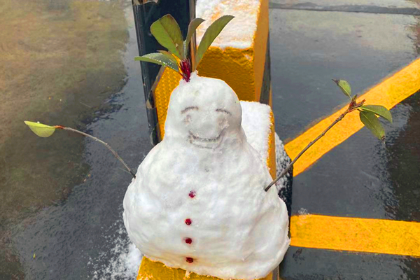 1579658669200226.jpg 3_副本.jpg