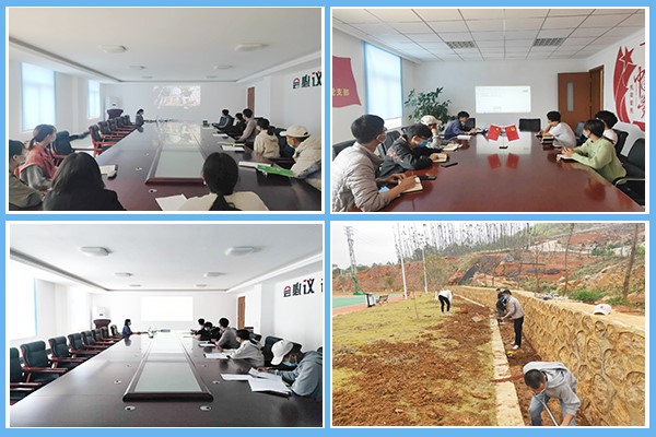 1584515339913253.jpg 432.jpg