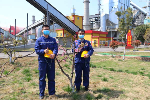 1587612387641070.jpg 4.jpg