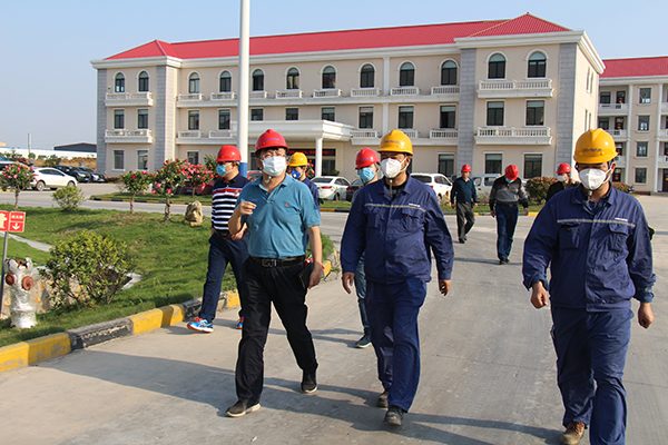 1588043691692635.jpg 10.jpg