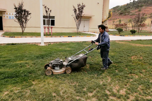 1590983770413270.jpg 64b8d608f5aa50e6c5b9d3df4f7ed74.jpg