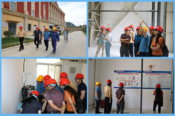 1593423101731616.jpg 2.jpg