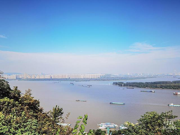 1606102146219189.png 圖片11.png