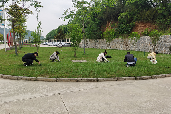 1619319783311198.jpg 1c00570be2e88b5fdf3f862f84d2d92.jpg