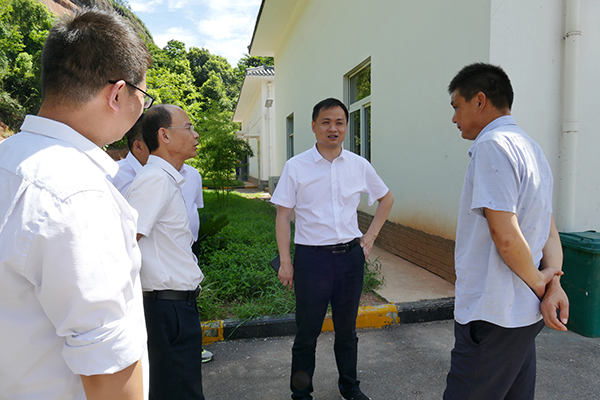 1625897198369887.jpg L1120815.JPG