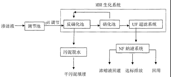 1631260162259719.jpg 3.jpg