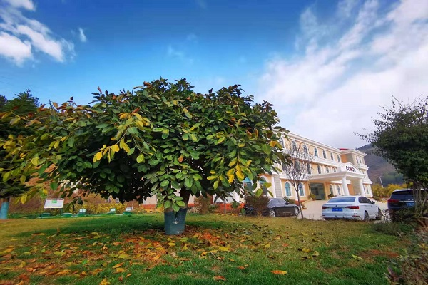 1646009592262359.png 圖片1.png