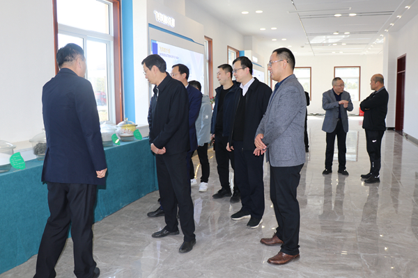 1648619732195728.jpg 2.JPG